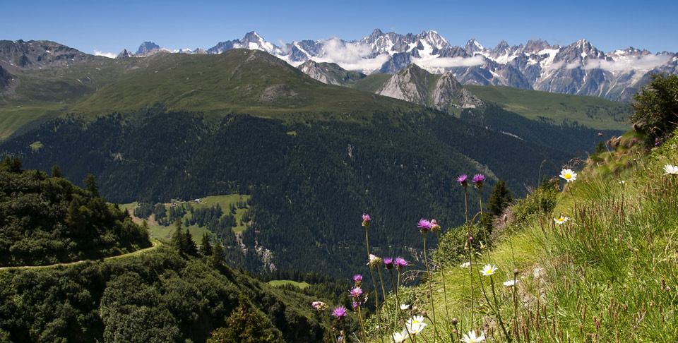 Spring in the Four Valleys 